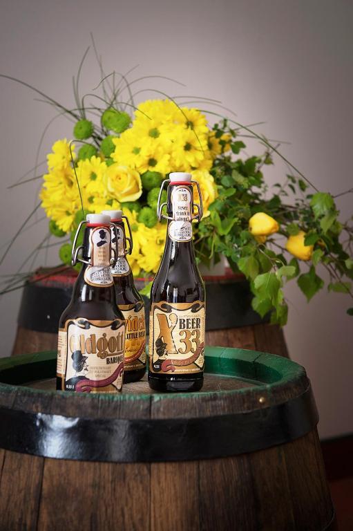 U Medvidku-brewery Hotel Praha